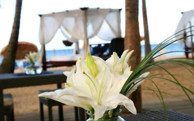 The Beach House