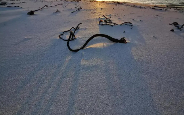 Romansbaai Moksha