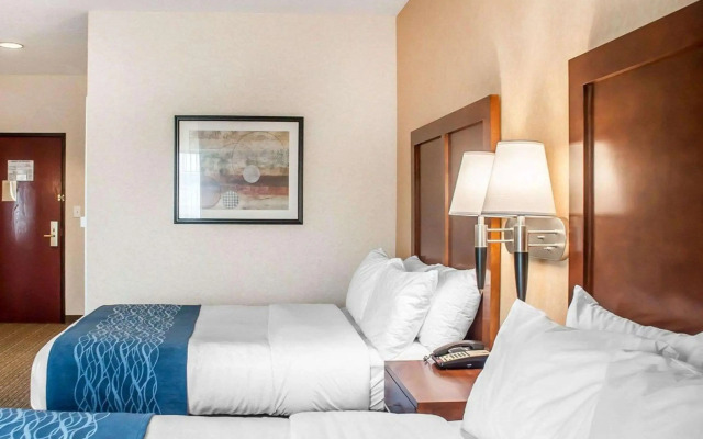 Comfort Inn And Suites Hamburg