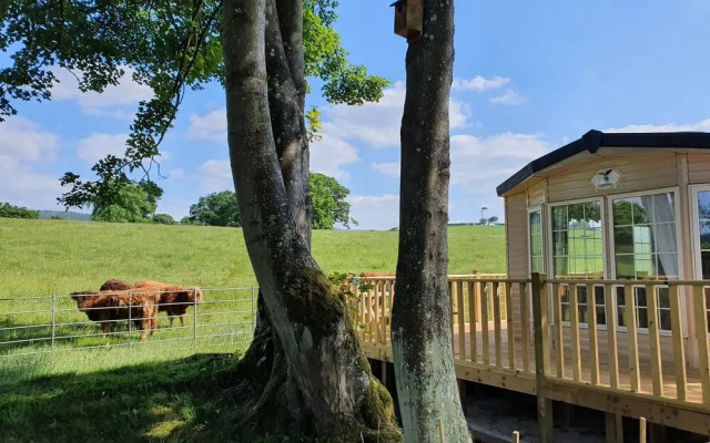 Gaerhyfryd Static Caravan
