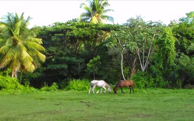 Casa de Vieques