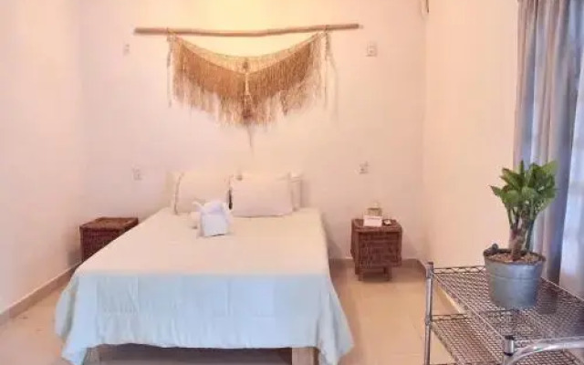 La Gran Mosca Verde Hostel