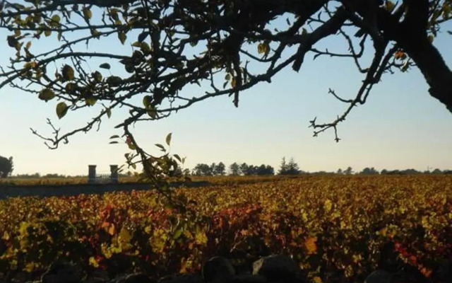 Château Le Souley