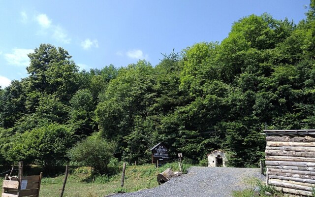 Les Insolites d'Eljie