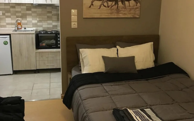 Amazing Studio Next to all City Attractions