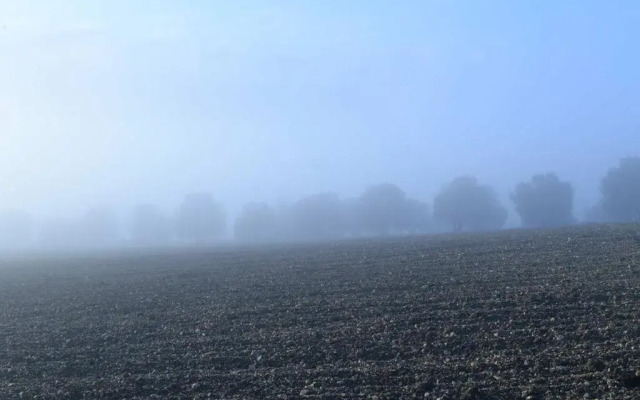 Agriturismo Arte et Agricoltura