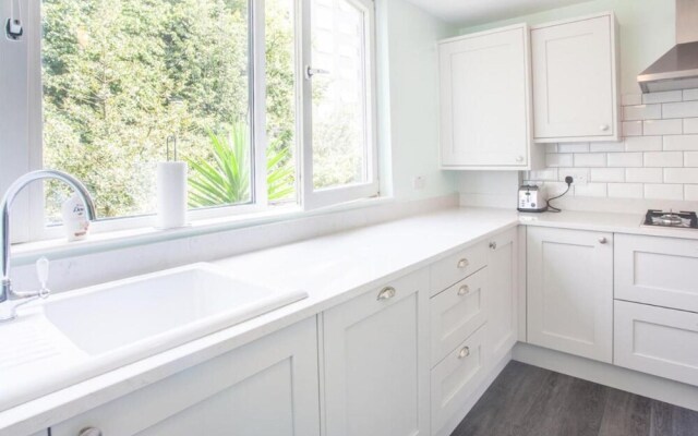Sunny and Bright 1 Bed Apartment in London