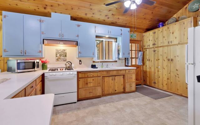 Bear CUB Cabin #2069