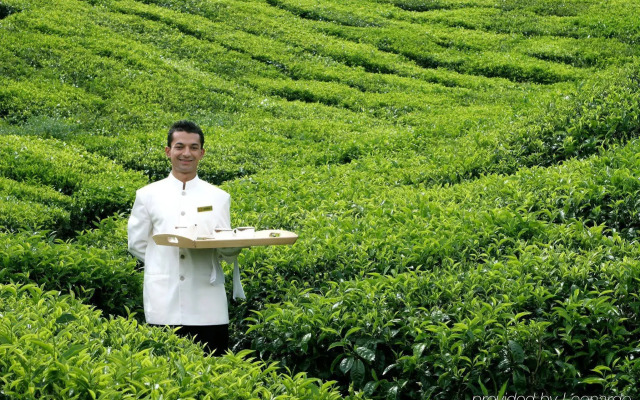 Cameron Highlands Resort