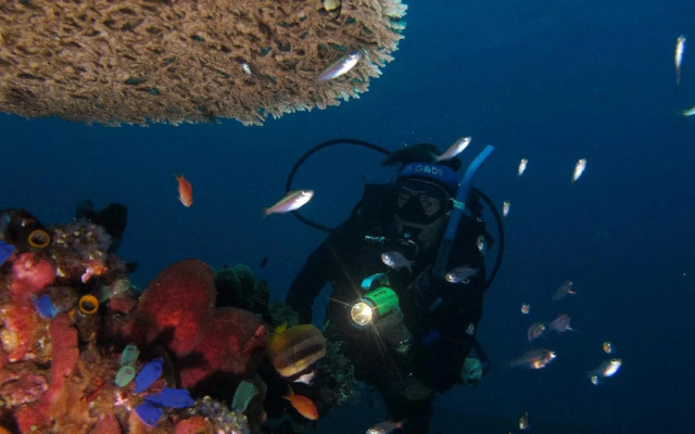 Abwonderdive-Bali Dive Resort