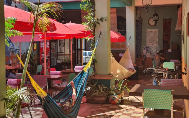 Hierba de Conejo - Hostel