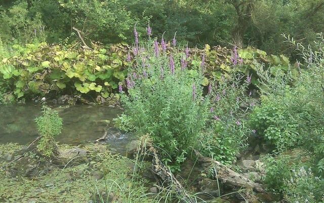 Antica Taverna del Principe