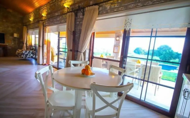 Villa Palm Tree