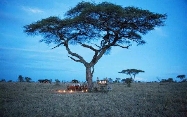 Pumzika Luxury Safari Camp - East Africa Camps