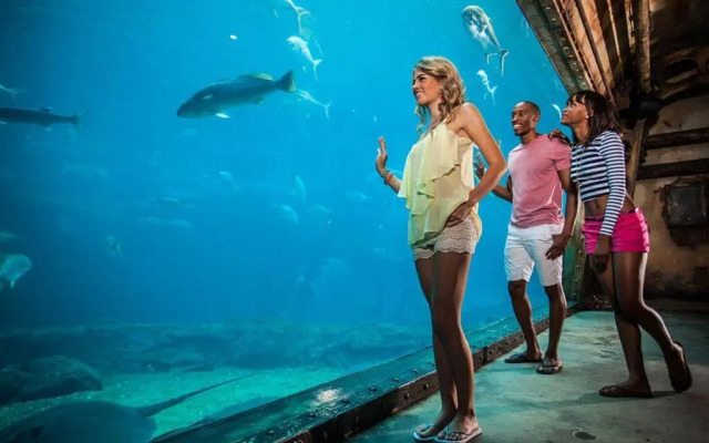 Tenbury Beach Apartment