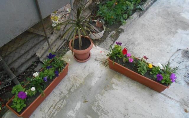 Guesthouse on Benashvili