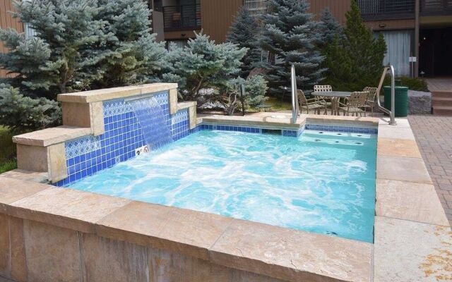 Vail International