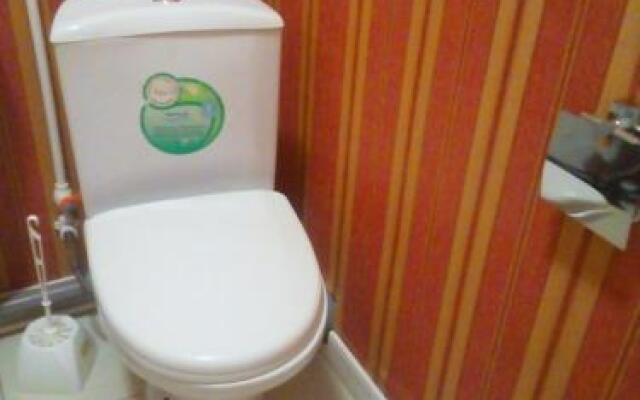 Hostel Green House on Dostoyevskaya