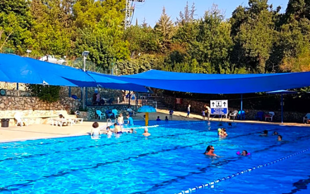Bloom's Studio הסטודיו של בלום