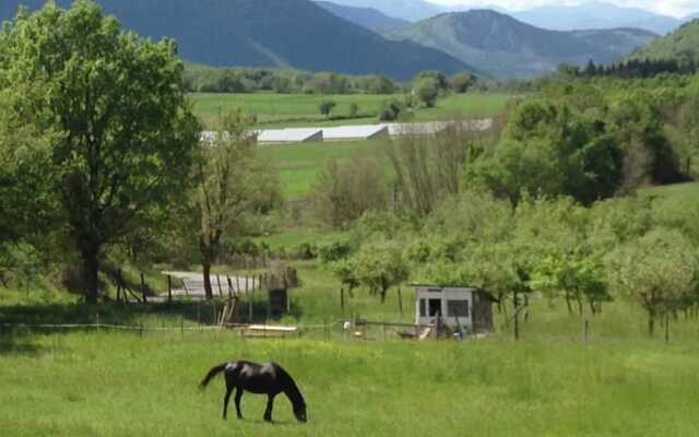 Alle Vecchie Querce - Le Rose