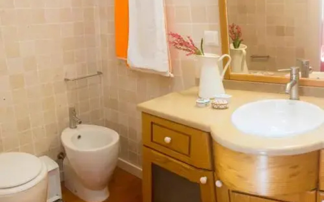 Casas da Tia Alice
