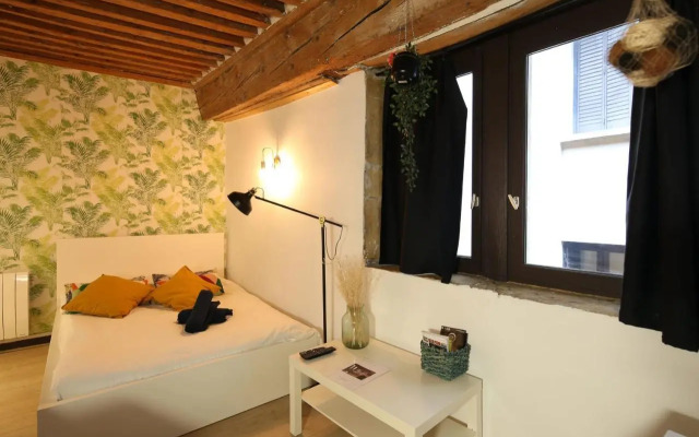 Charming Studio Centre Ville De Lyon