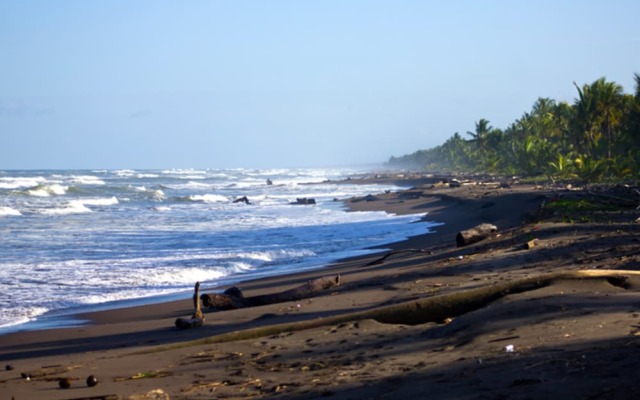 Turtle Beach Lodge