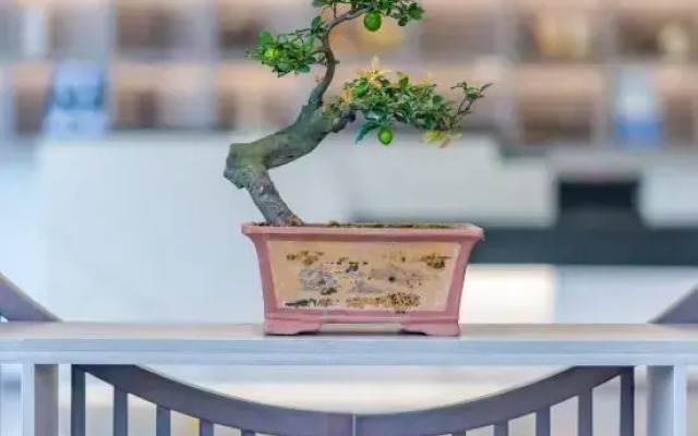 Xianju Yishe Encounter B&B