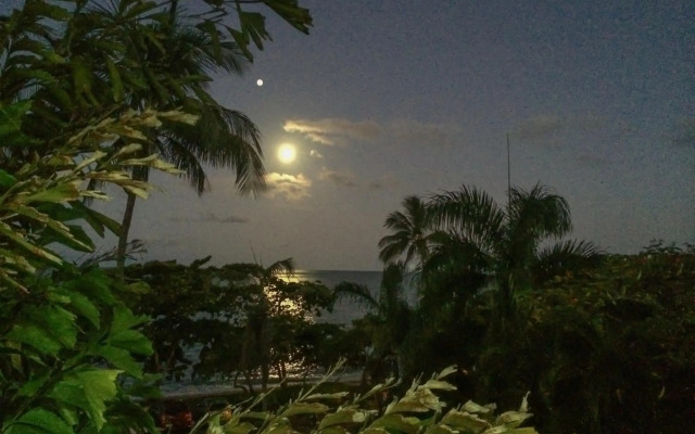 Roydon Beachfront Apartments