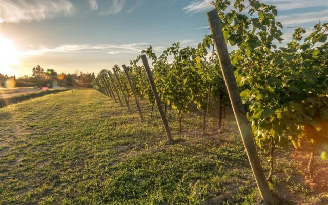 Tenuta La Borghetta
