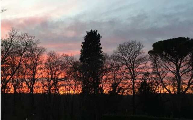 Beautiful Apartment in Tuscany