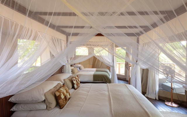 Ila Safari Lodge