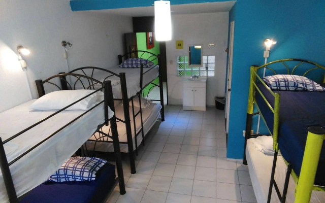 Oyster Hostel