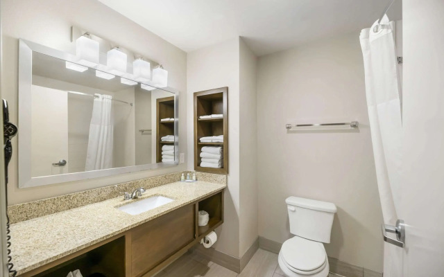 Quality Inn & Suites Carlsbad Caverns Area