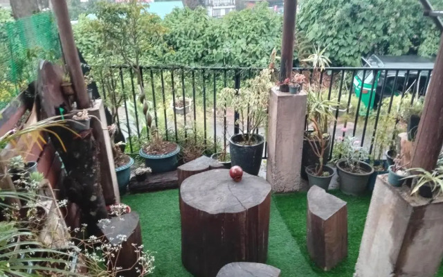 20/20 wood cabana