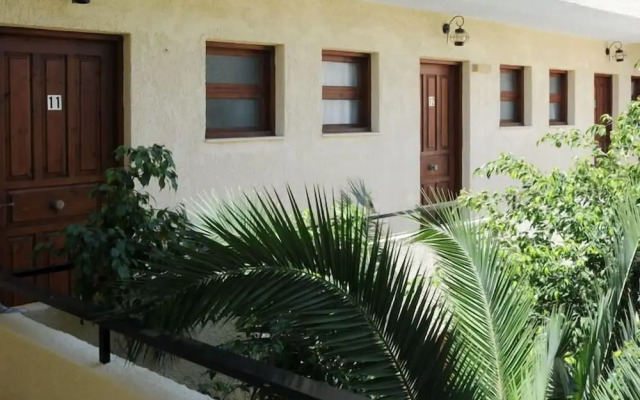Senia Studios