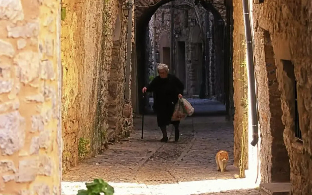 Mesta Mastic