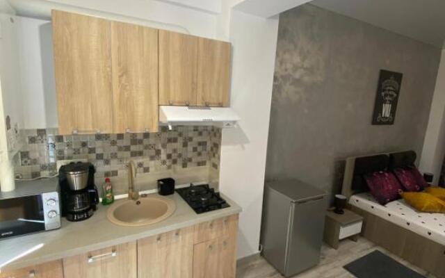 Garsoniera King Tip Studio Resort Building Stefan