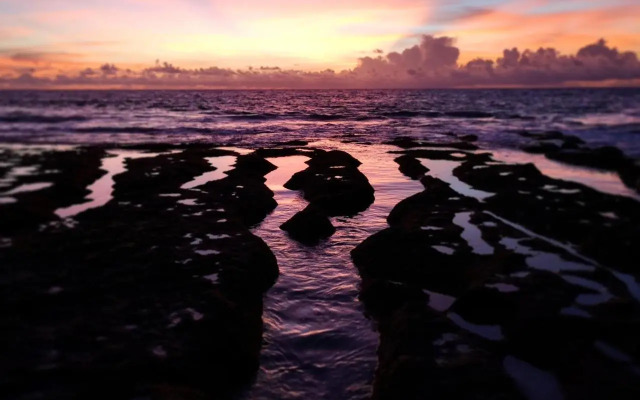 Surf Rote @ Boa Hills Surf House