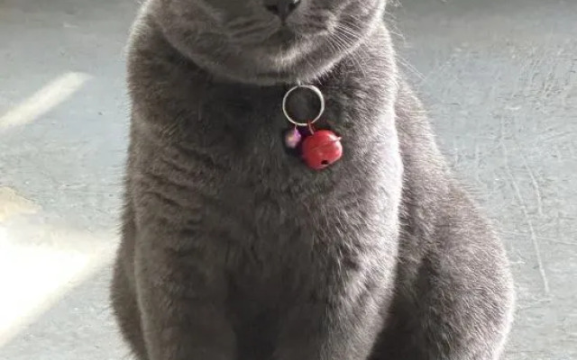 Recreation and health resort courtyard