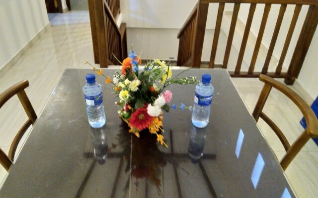 Galle Cemellia