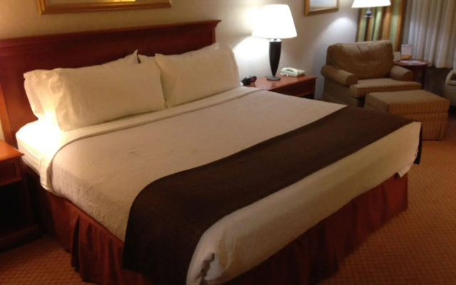 Holiday Inn Canton (Belden Village) by IHG