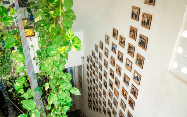Dreamyard Udaipur - Hostel