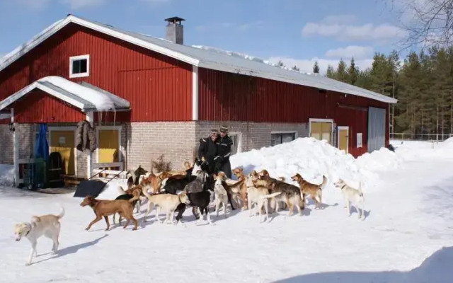 Northern Star Wilderness Ranch & Biker Lodge