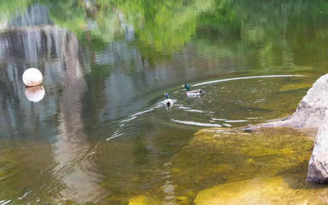 Branock, Tor Down Quarry