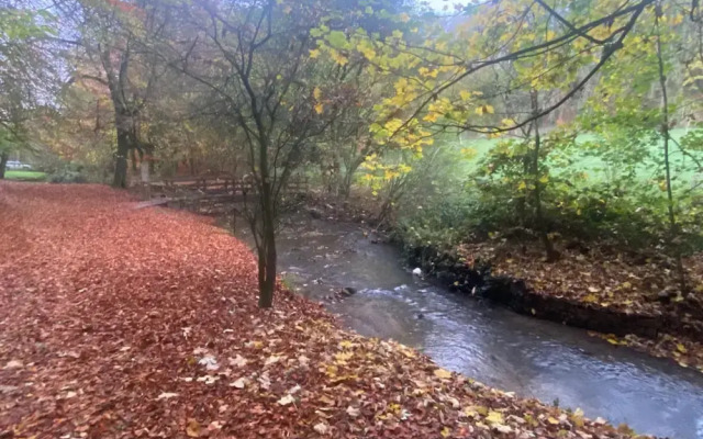 1br-balcony-petfriendly-garden-free Parking