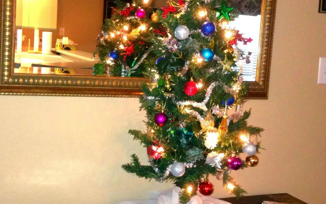 Brook Poolside Walk In-Meadow Brook