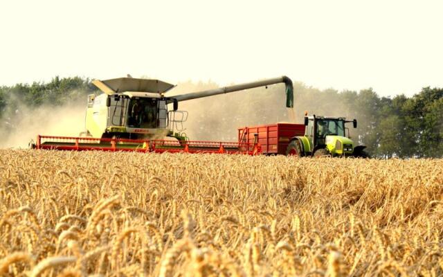 Campion Glamping Pod