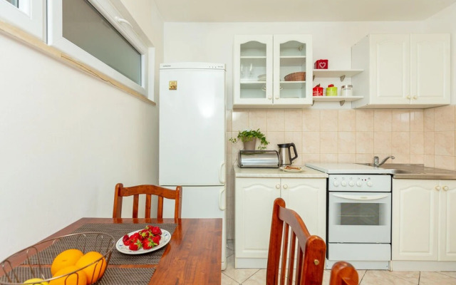 Apartment Vinea
