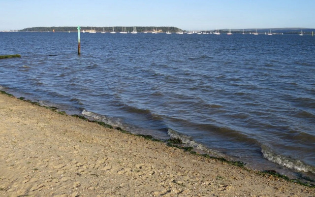 Driftwood